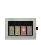 Mini shimmer fine fragrance mist 4 -pièces Gift set