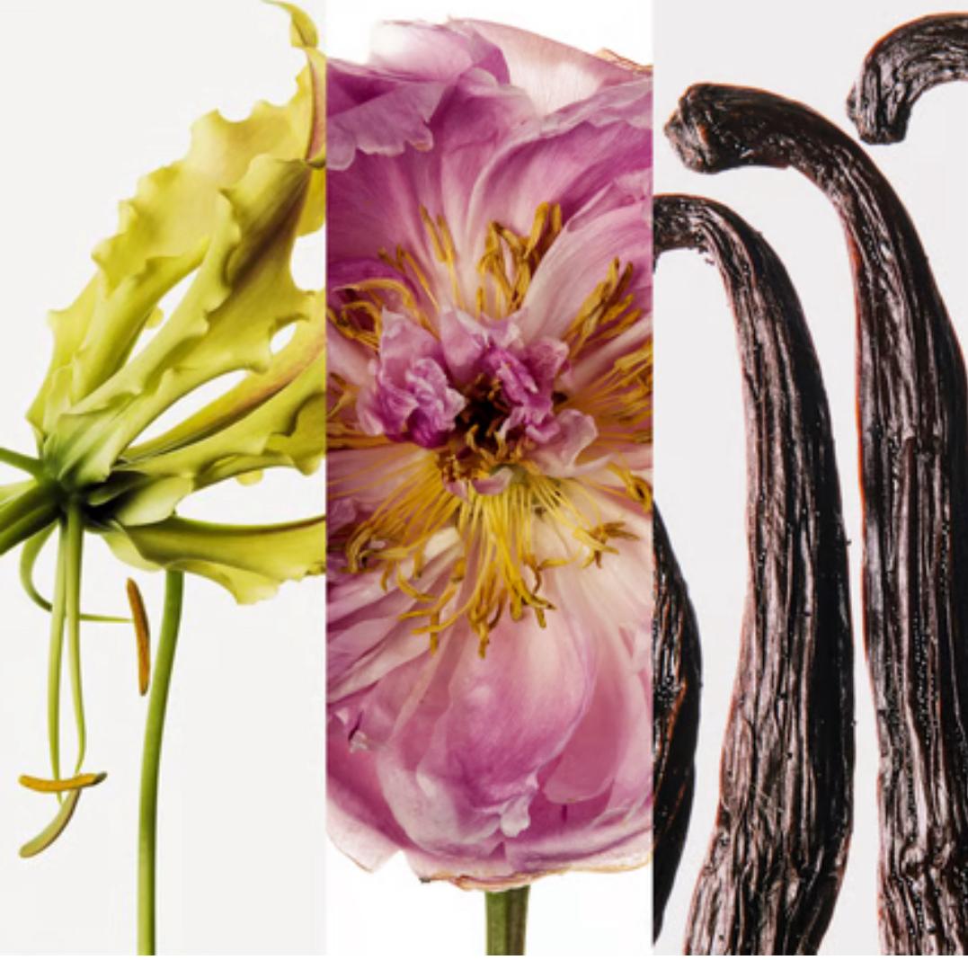 WhatsApp Image 2026-02-24 at 7.52.58 AM