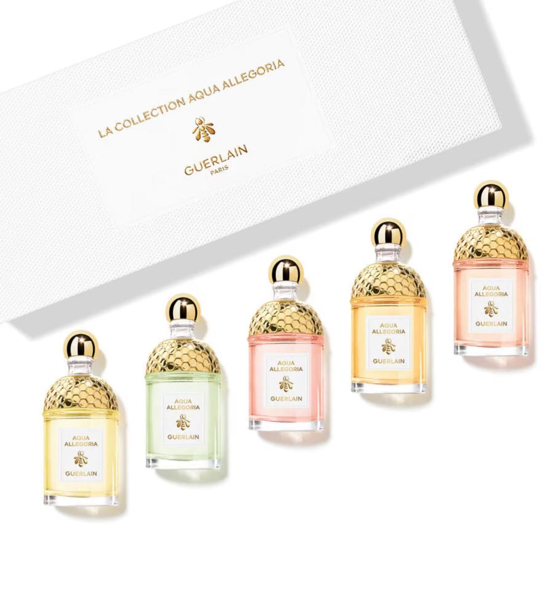 WhatsApp Image 2026-03-01 at 1.48.50 AM (1)